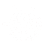 Home team